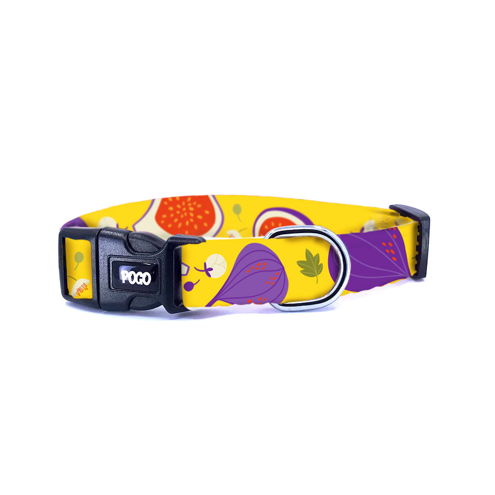 Fig | Dog Collar