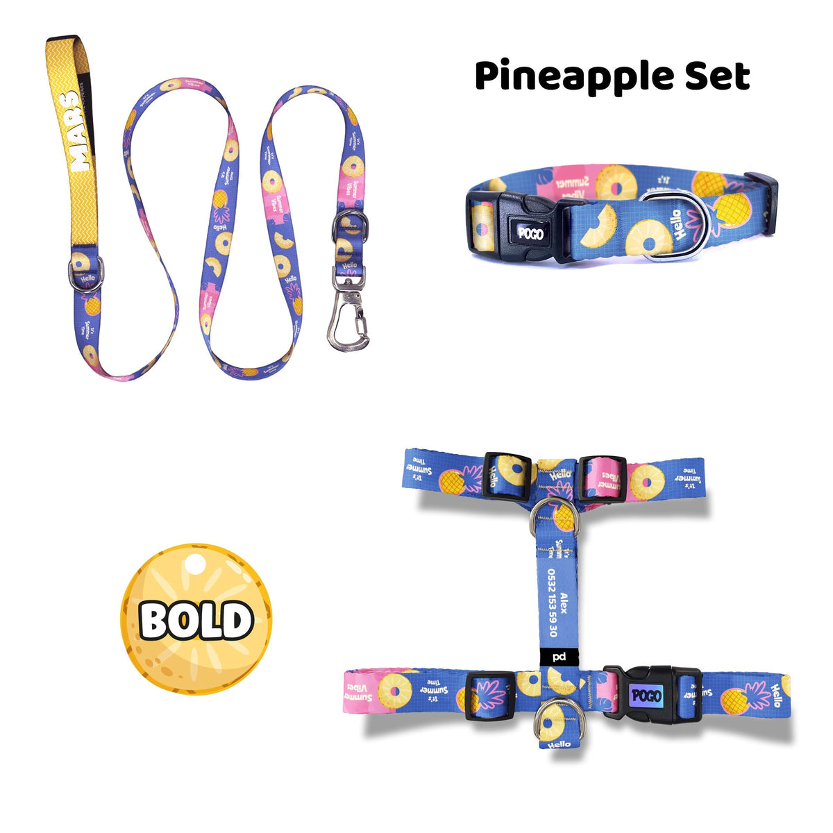 Pineapple | Dog Collar Set
