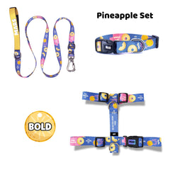 Pineapple | Dog Collar Set