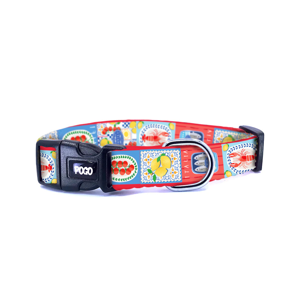 Amalfi | Dog Collar