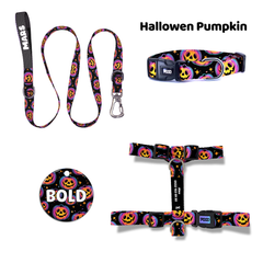 Hallowen Pumpkin | Dog Collar Set