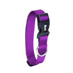 Purple | Dog Collar