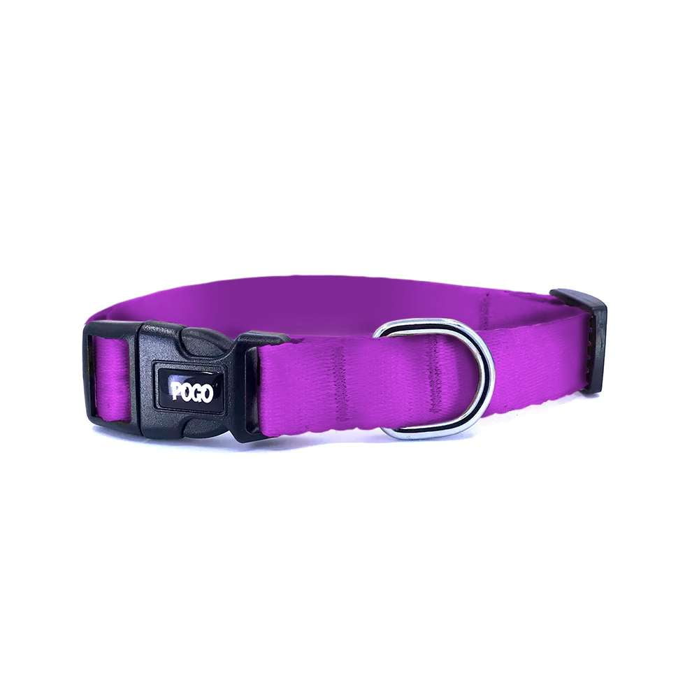 Purple | Dog Collar