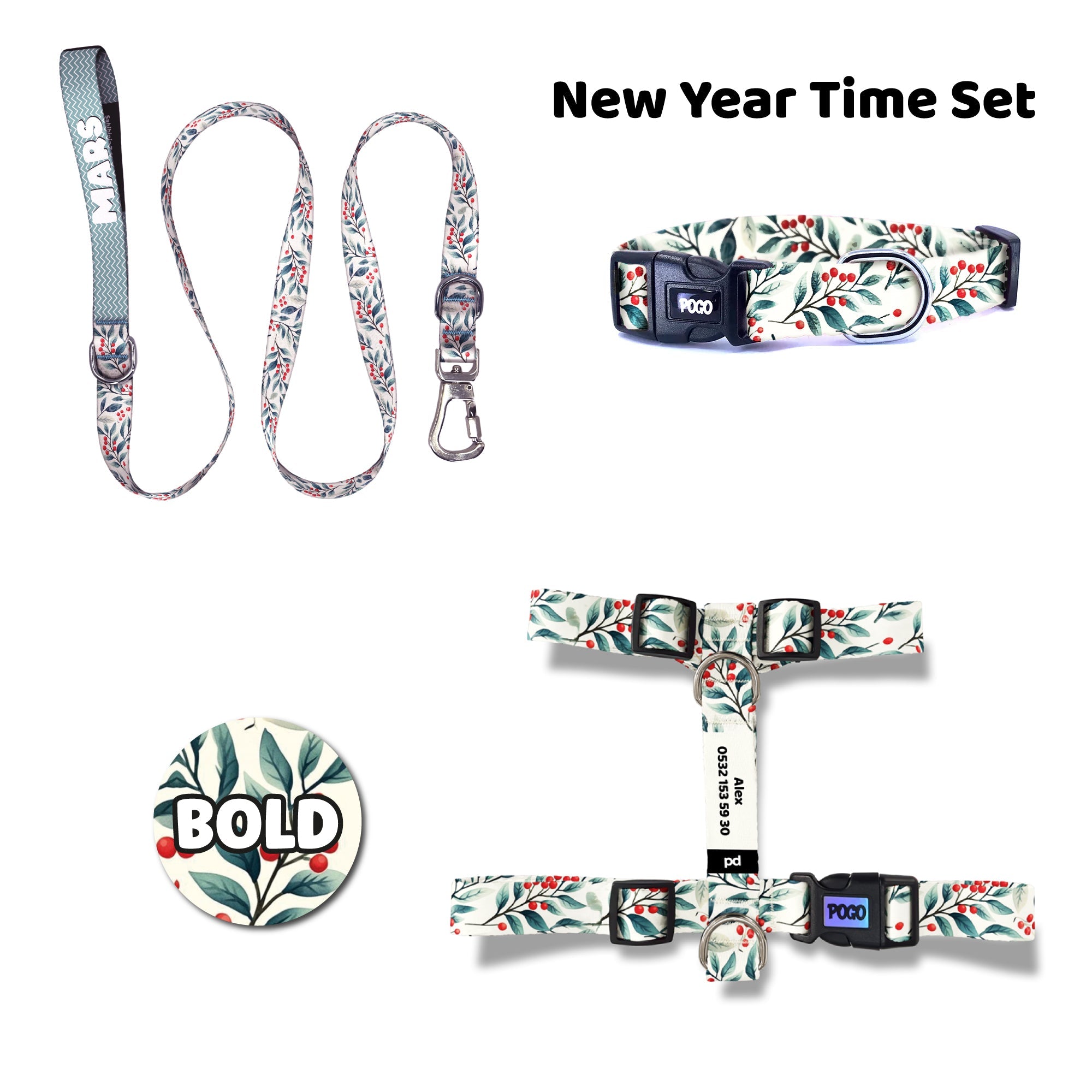 New Year Time | Dog Collar Set