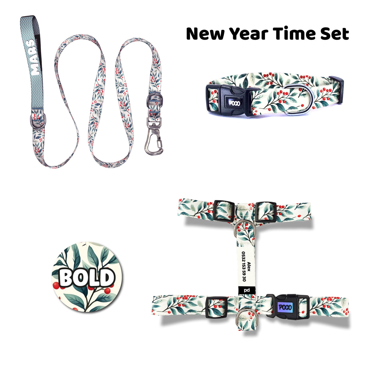 New Year Time | Dog Collar Set