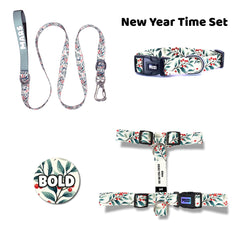 New Year Time | Dog Collar Set