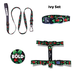 Ivy | Dog Collar Set
