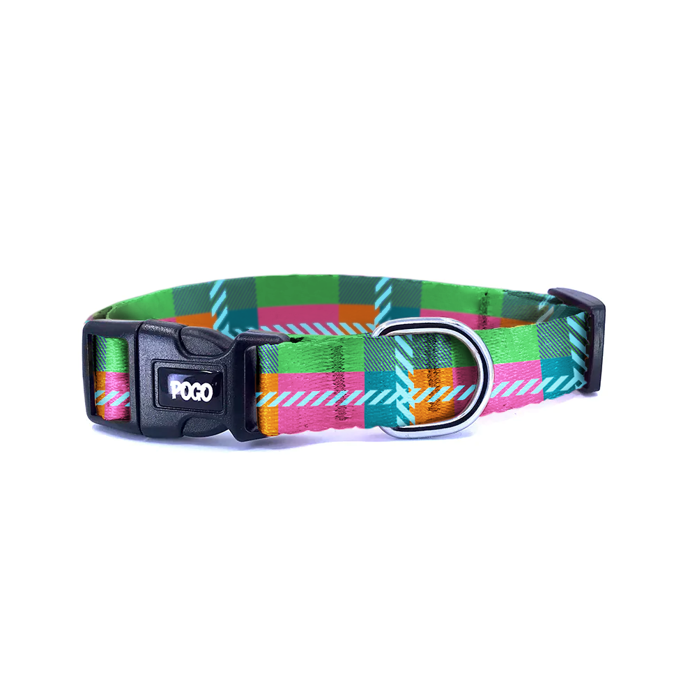 Tropic | Dog Collar