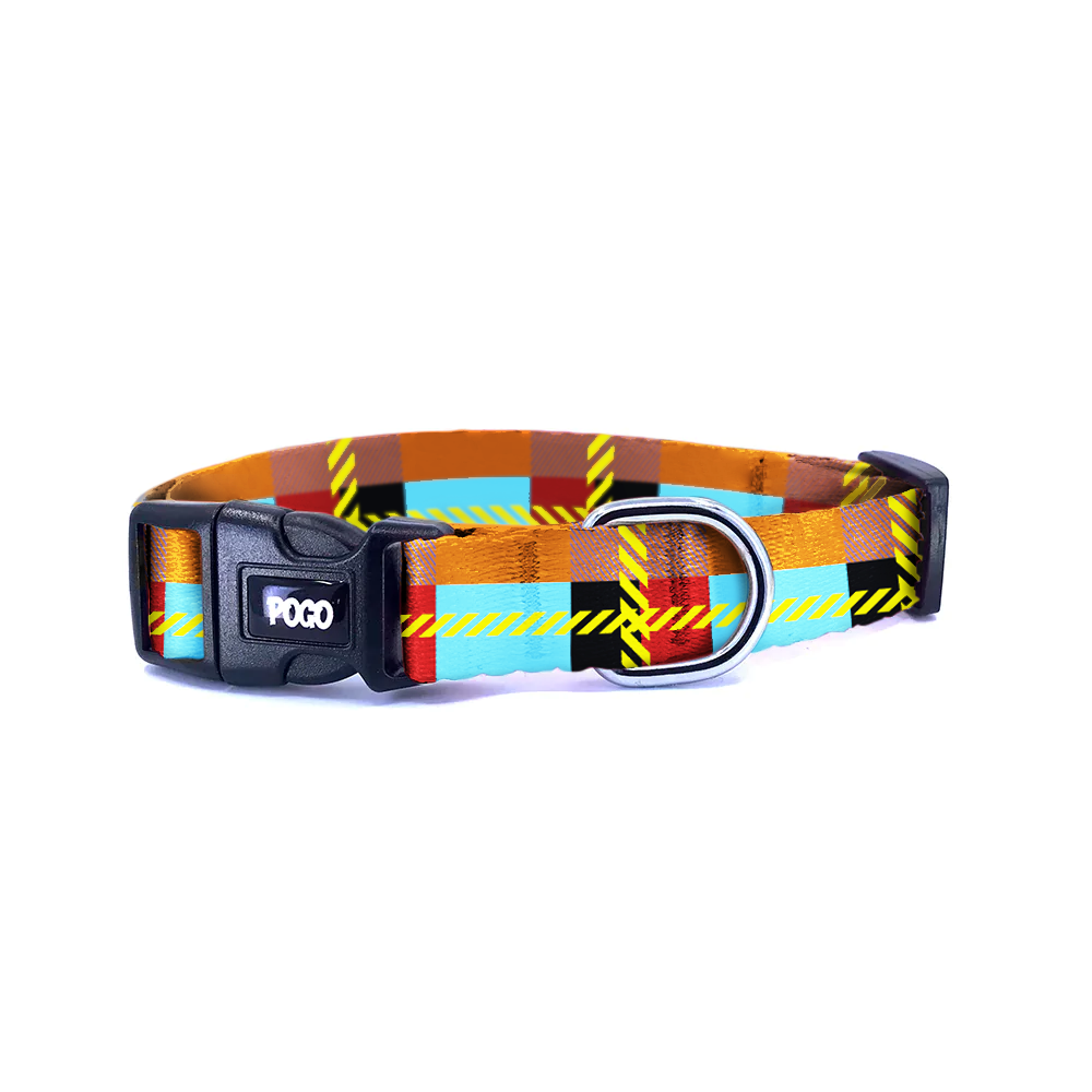 Night Club | Dog Collar