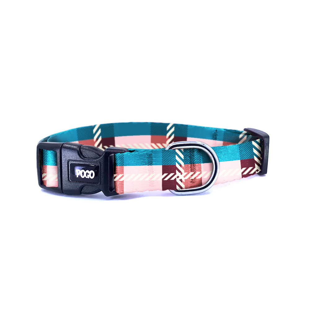 Coral | Dog Collar
