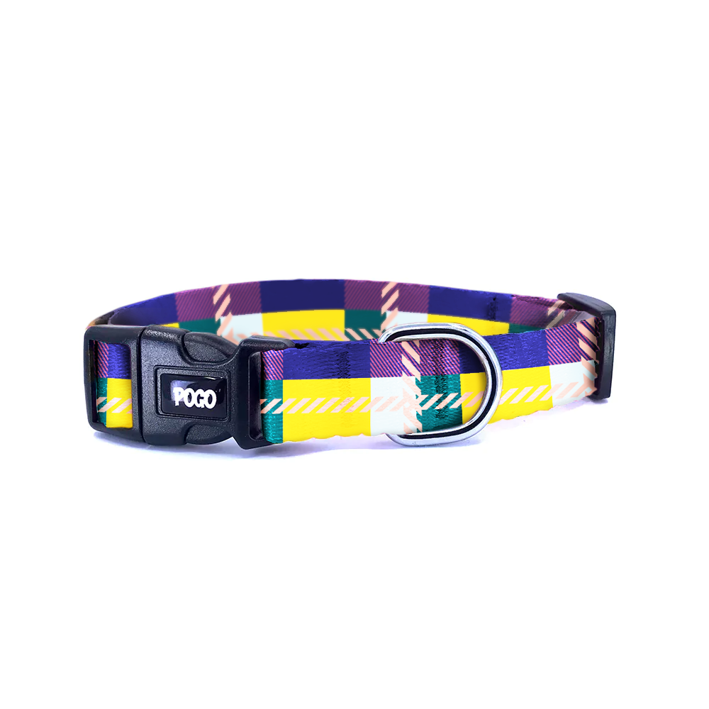 Mono Accent | Dog Collar