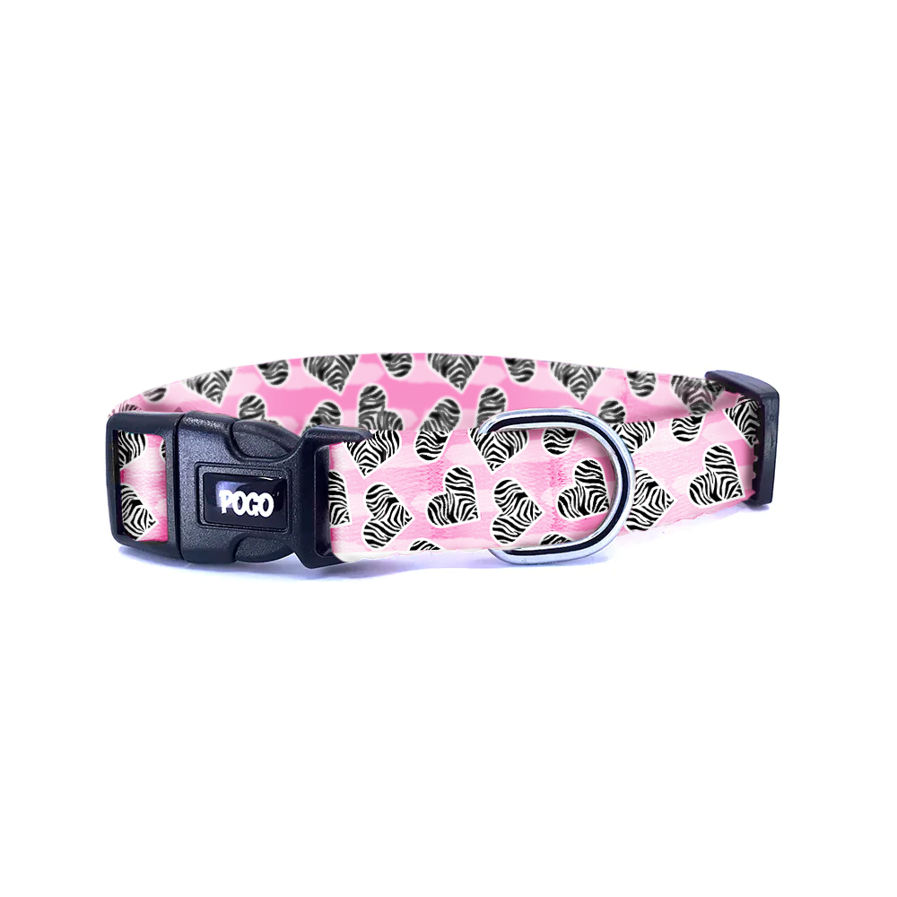 Zebra Love | Dog Collar