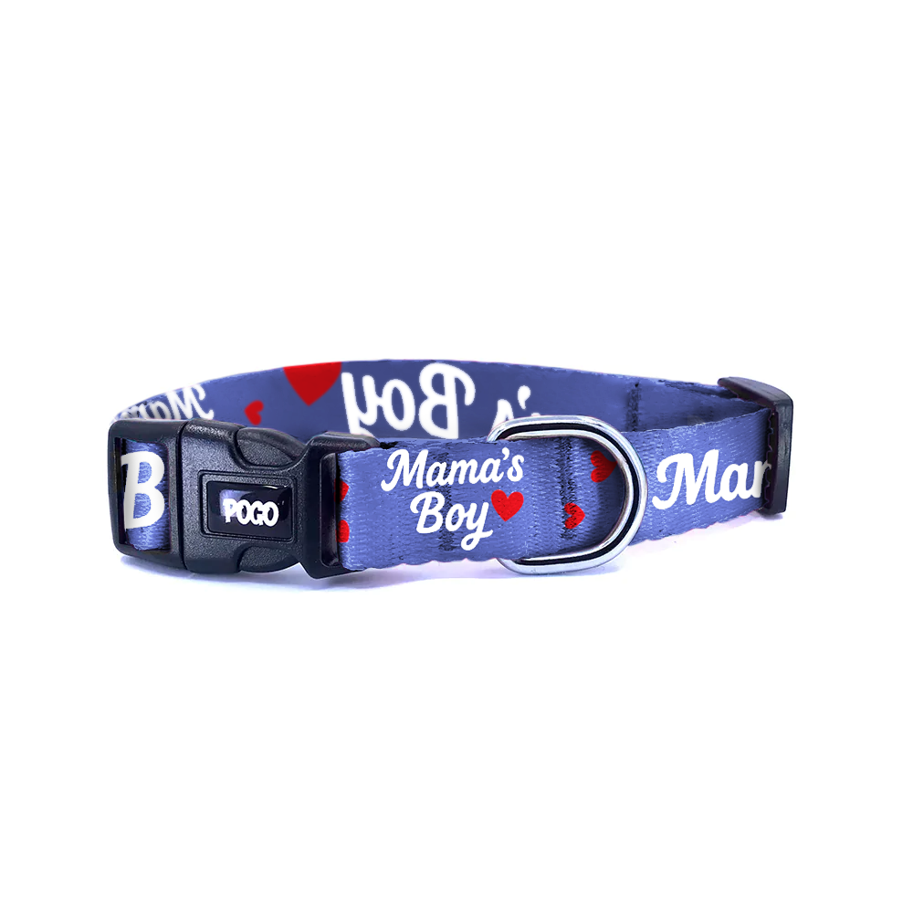Mamas Boy Indigo | Dog Collar