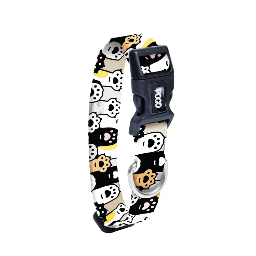 Pawty | Dog Collar