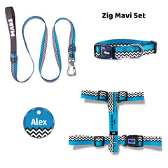 Zig Blue | Dog Collar Set