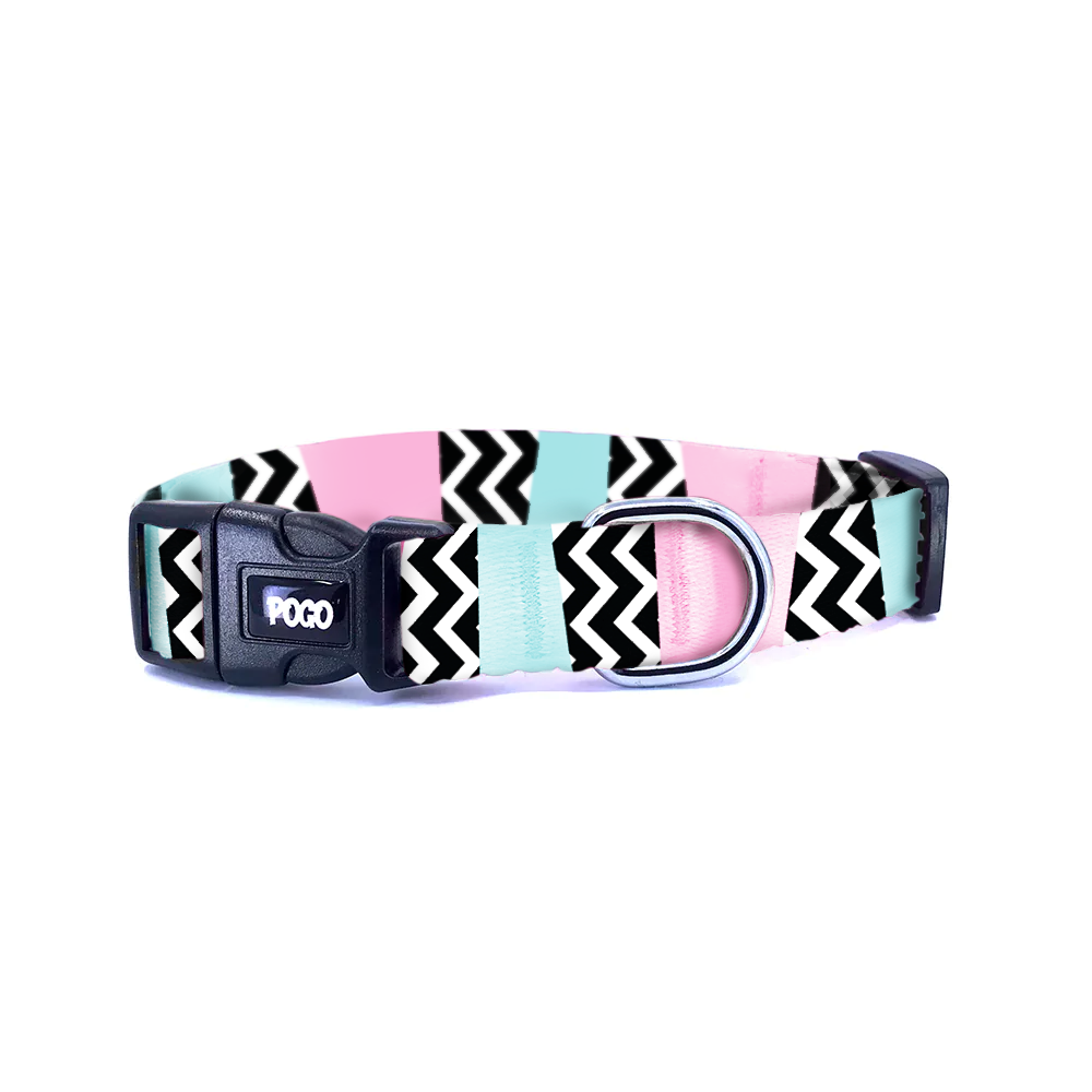 Secret Pink | Dog Collar