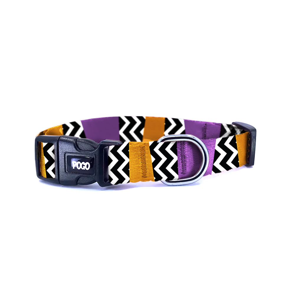 Secret Purple | Dog Collar
