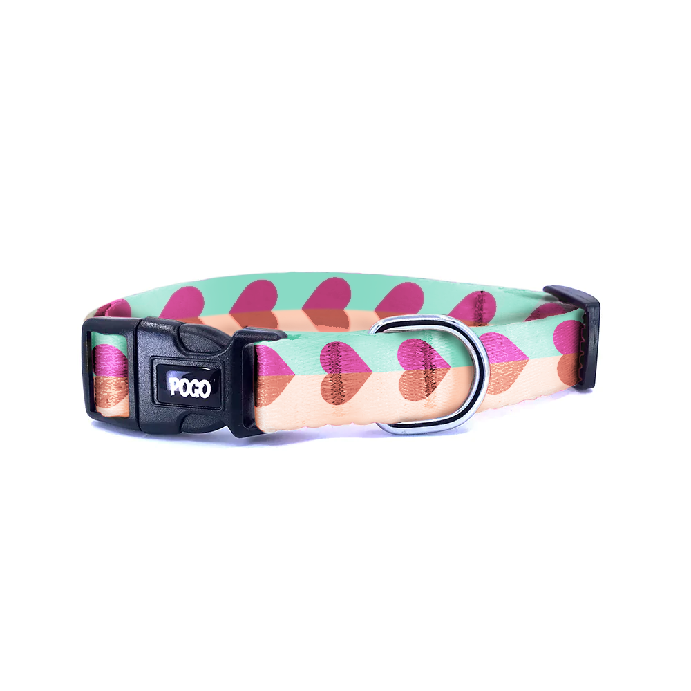 Love Bloom | Dog Collar