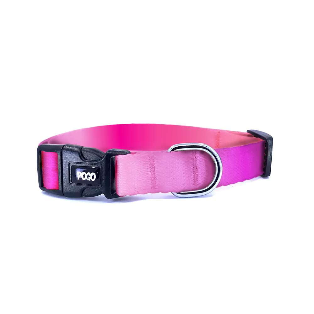 PinkFade | Dog Collar