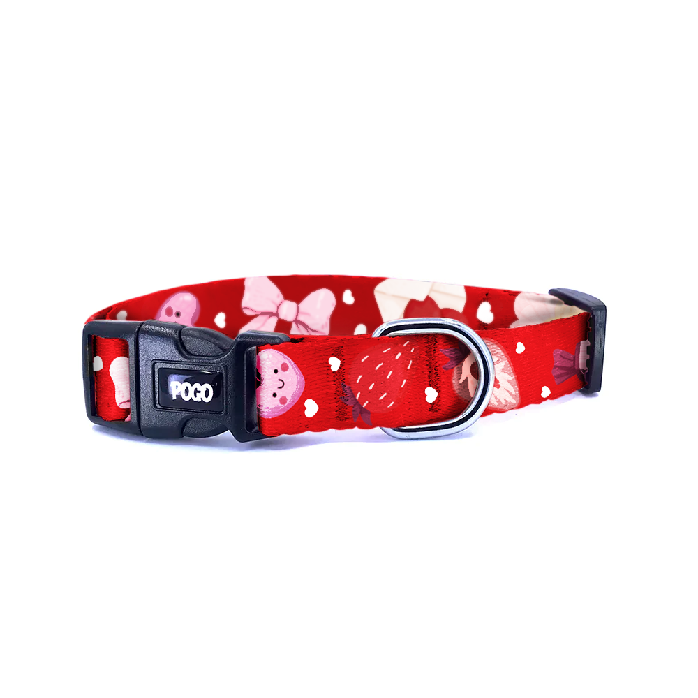 Vale Red | Dog Collar