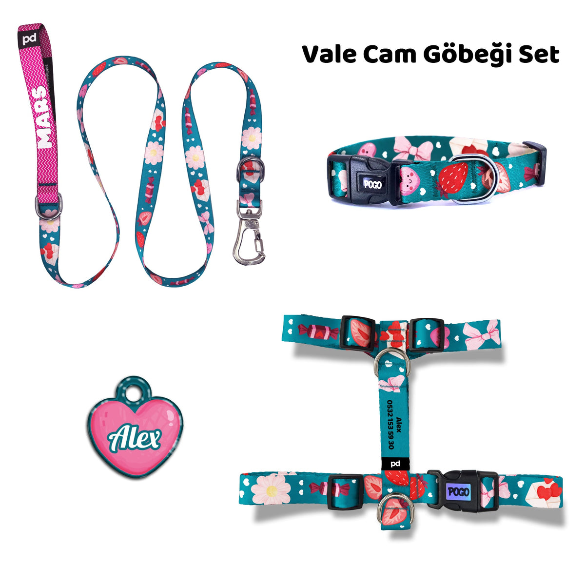 Vale Aqua | Dog Collar Set