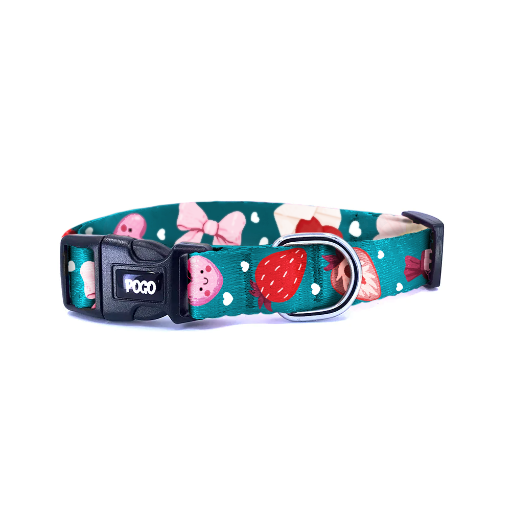 Vale Aqua | Dog Collar