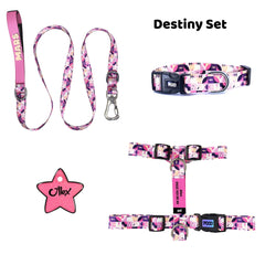 Destiny | Tasma ve Künye Seti - Evcil hayvanlar için mükemmel bir ürün.