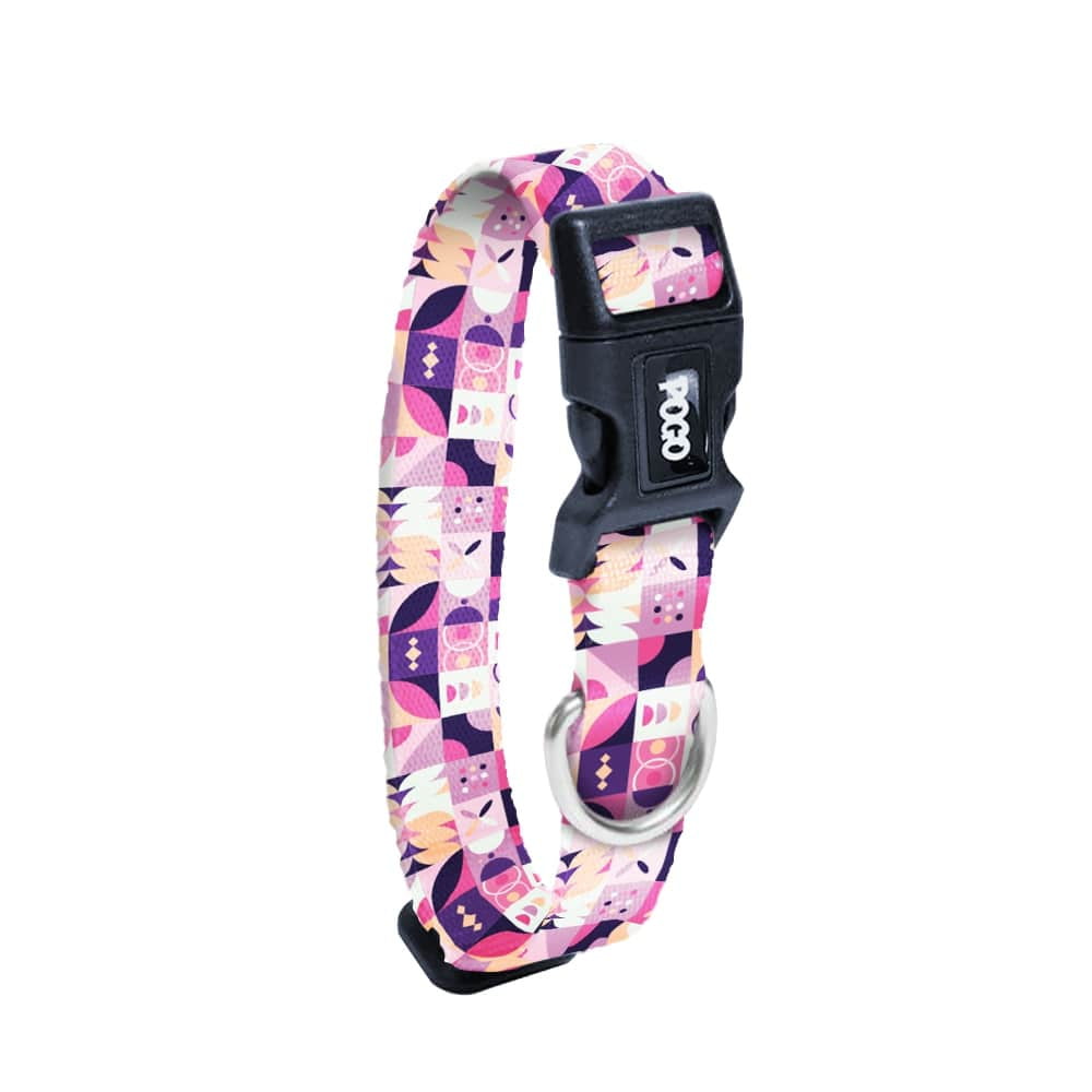 Destiny | Dog Collar
