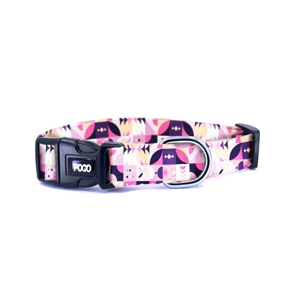 Destiny | Dog Collar