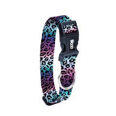 Aurora | Dog Collar