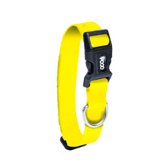 Yellow | Dog Collar