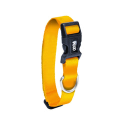Orange | Dog Collar