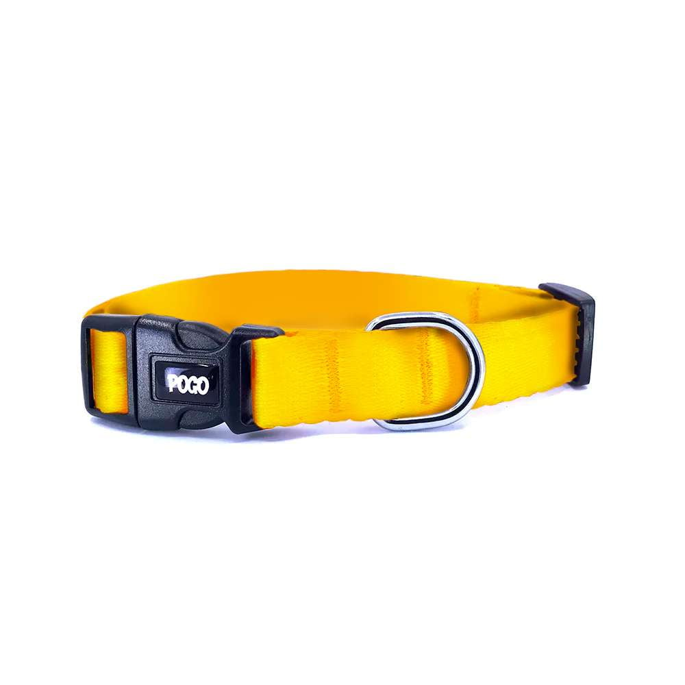 Orange | Dog Collar