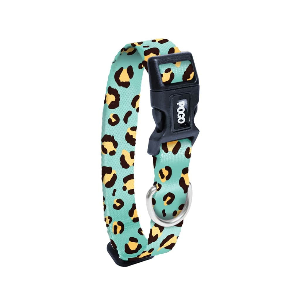 Expanse | Dog Collar