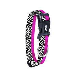 Zebra | Dog Collar