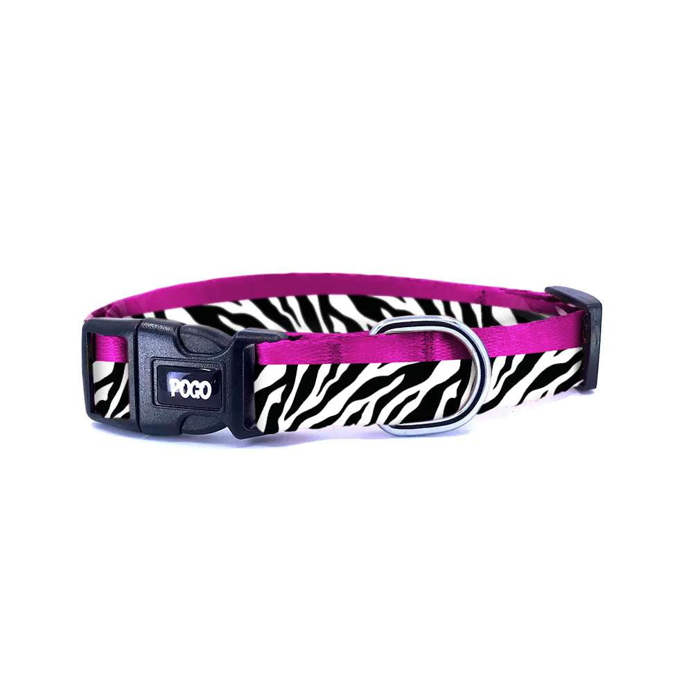 Zebra | Dog Collar
