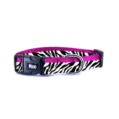 Zebra | Dog Collar