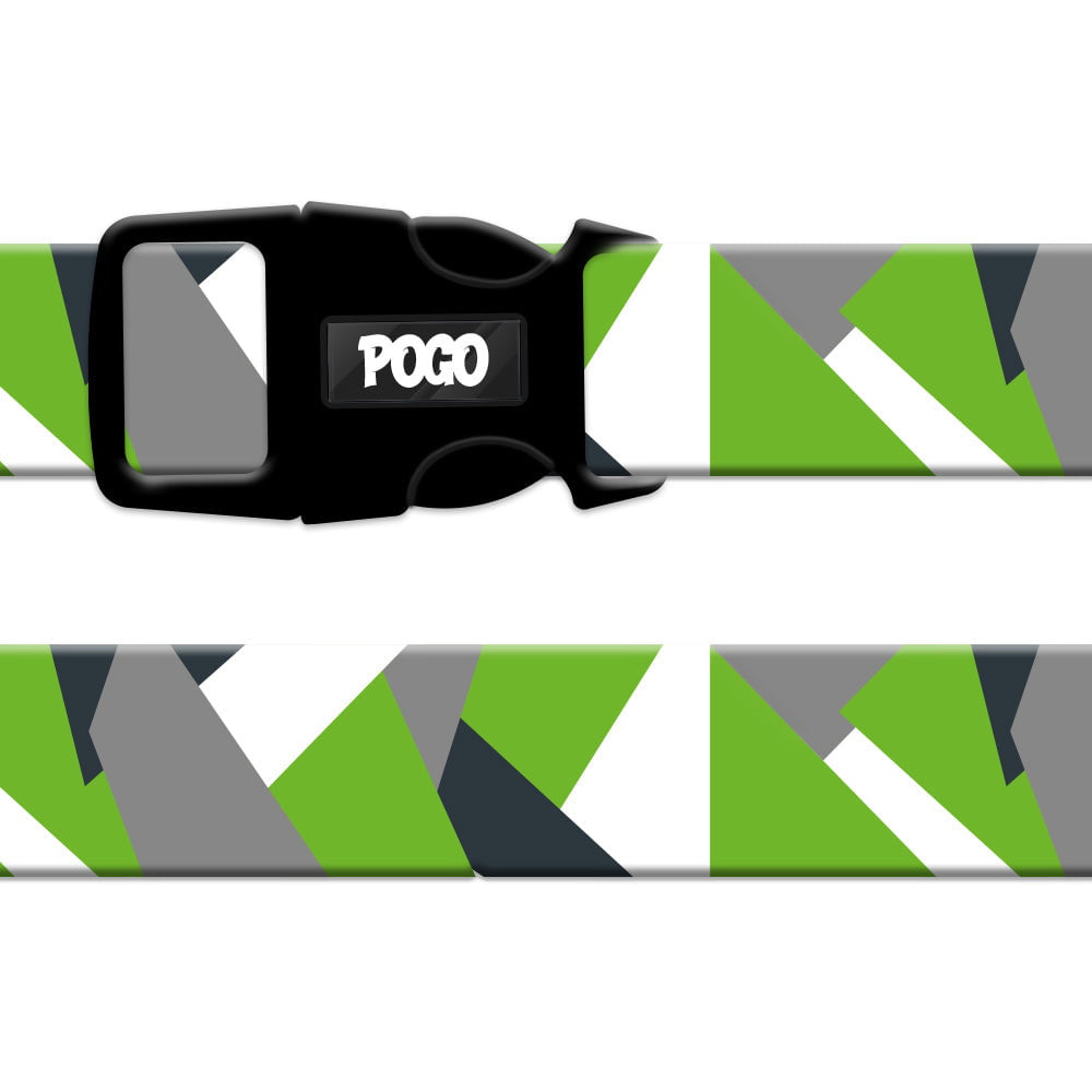 Vialli | Dog Collar