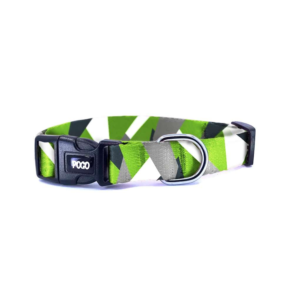 Vialli | Dog Collar