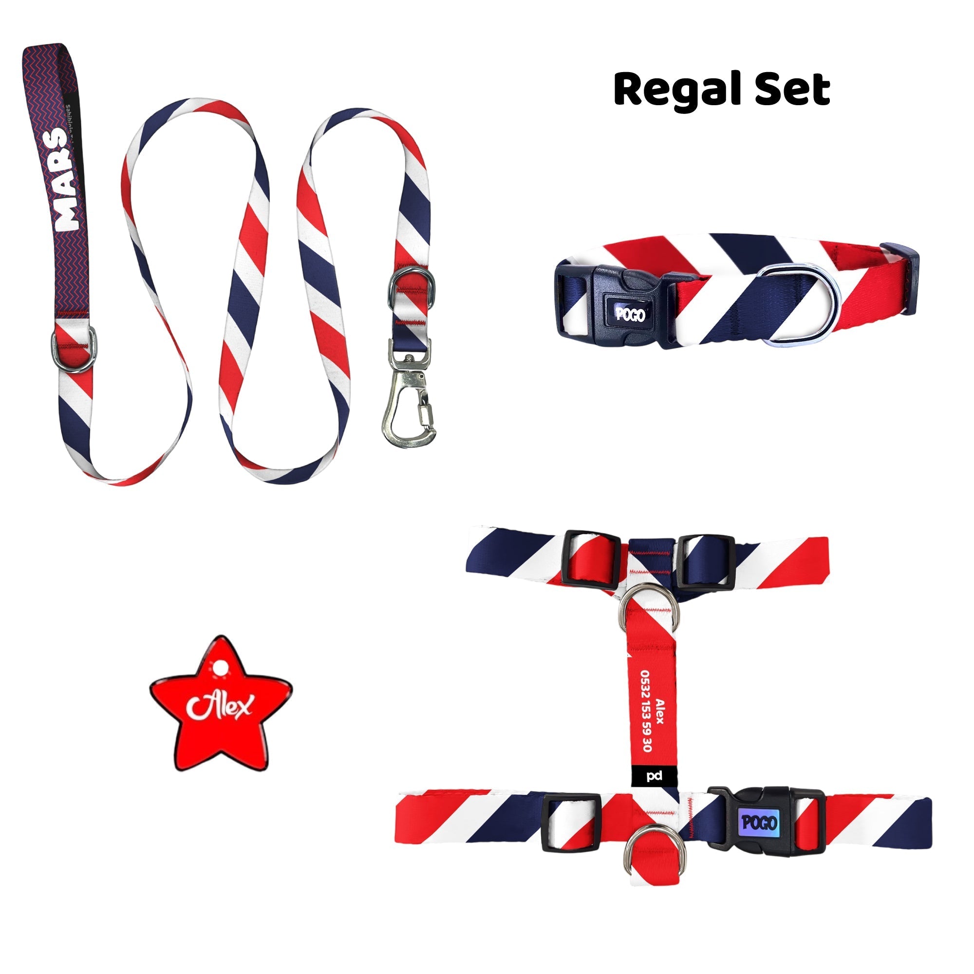 Regal | Tasma ve Künye Seti - Evcil hayvanlar için mükemmel bir ürün.