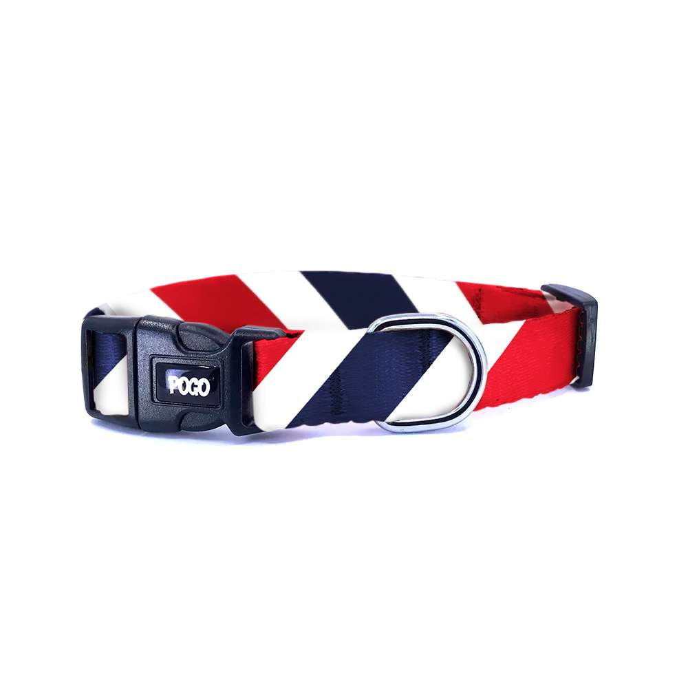 Regal | Dog Collar