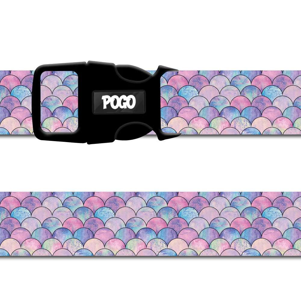 Flake  | Dog Collar