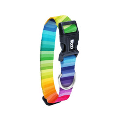Spectrum | Dog Collar