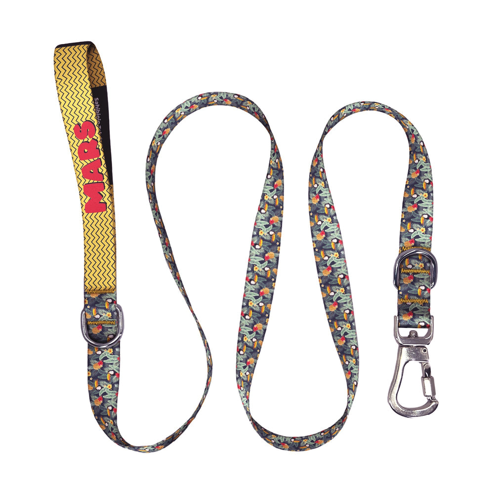 Tucan | Gezdirme Kayışı - Evcil hayvanlar için mükemmel bir ürün.