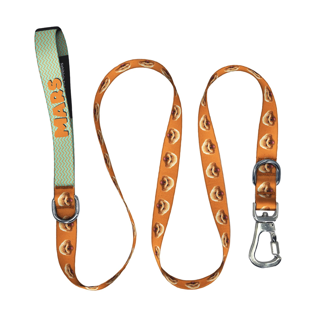 Poodle | Gezdirme Kayışı - Evcil hayvanlar için mükemmel bir ürün.