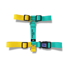 Yellow Green | Köpek Göğüs Tasması - Evcil hayvanlar için mükemmel bir ürün.