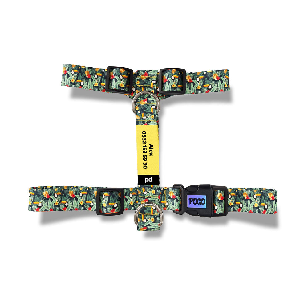 Tucan | Köpek Göğüs Tasması - Evcil hayvanlar için mükemmel bir ürün.