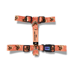 Vesikalık Terra Cotta | Photo Dog Harness