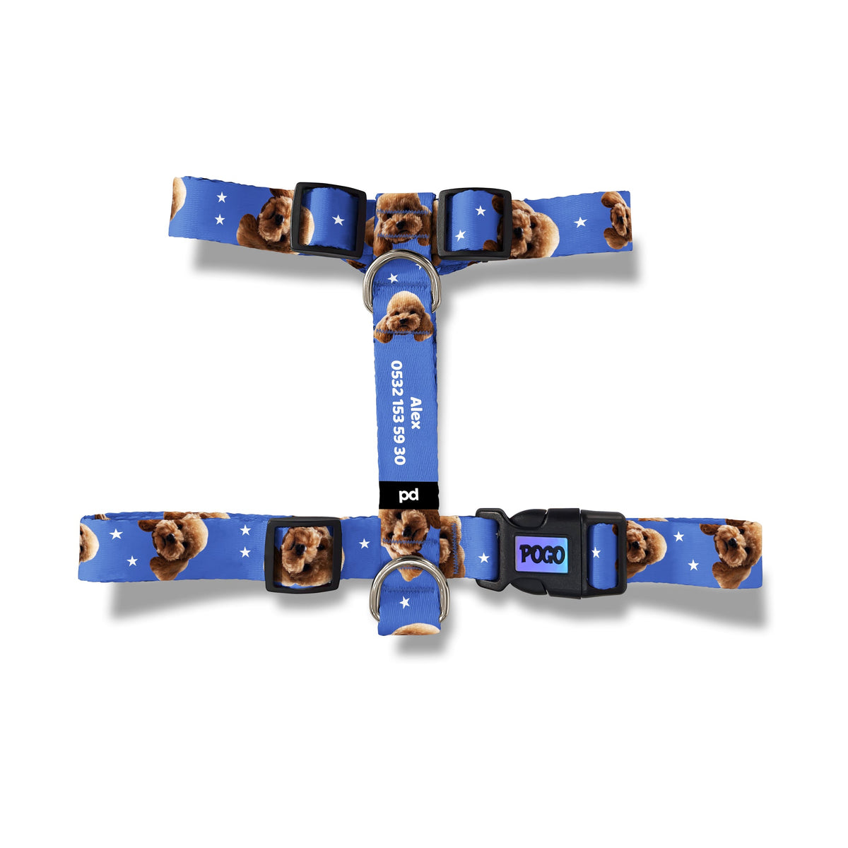 Vesikalık Kraliyet Bluesi | Photo Dog Harness