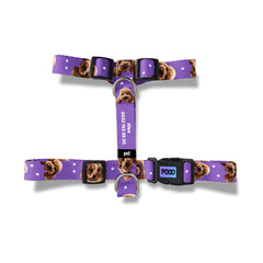 Vesikalık Purple Menekşe | Photo Dog Harness